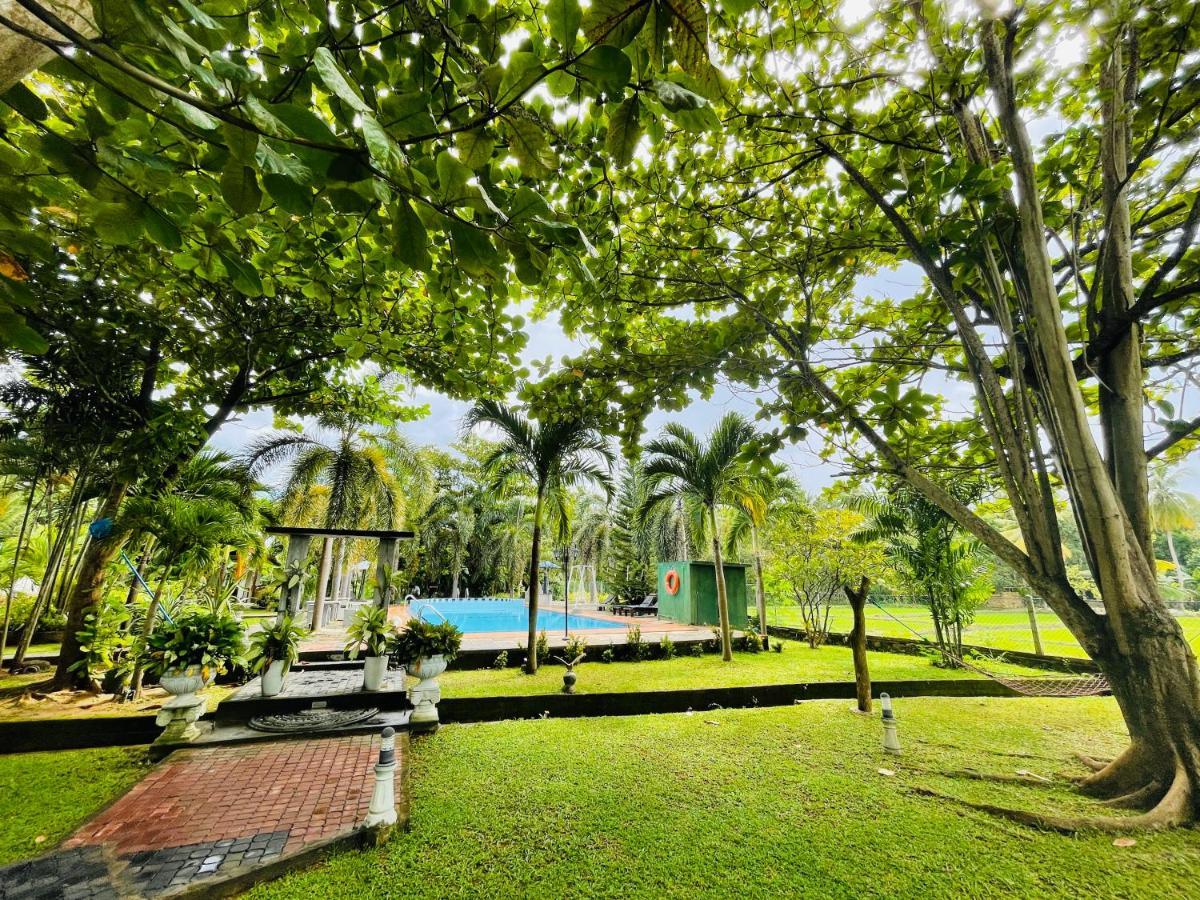 Tishan Holiday Resort Polonnaruwa Luaran gambar